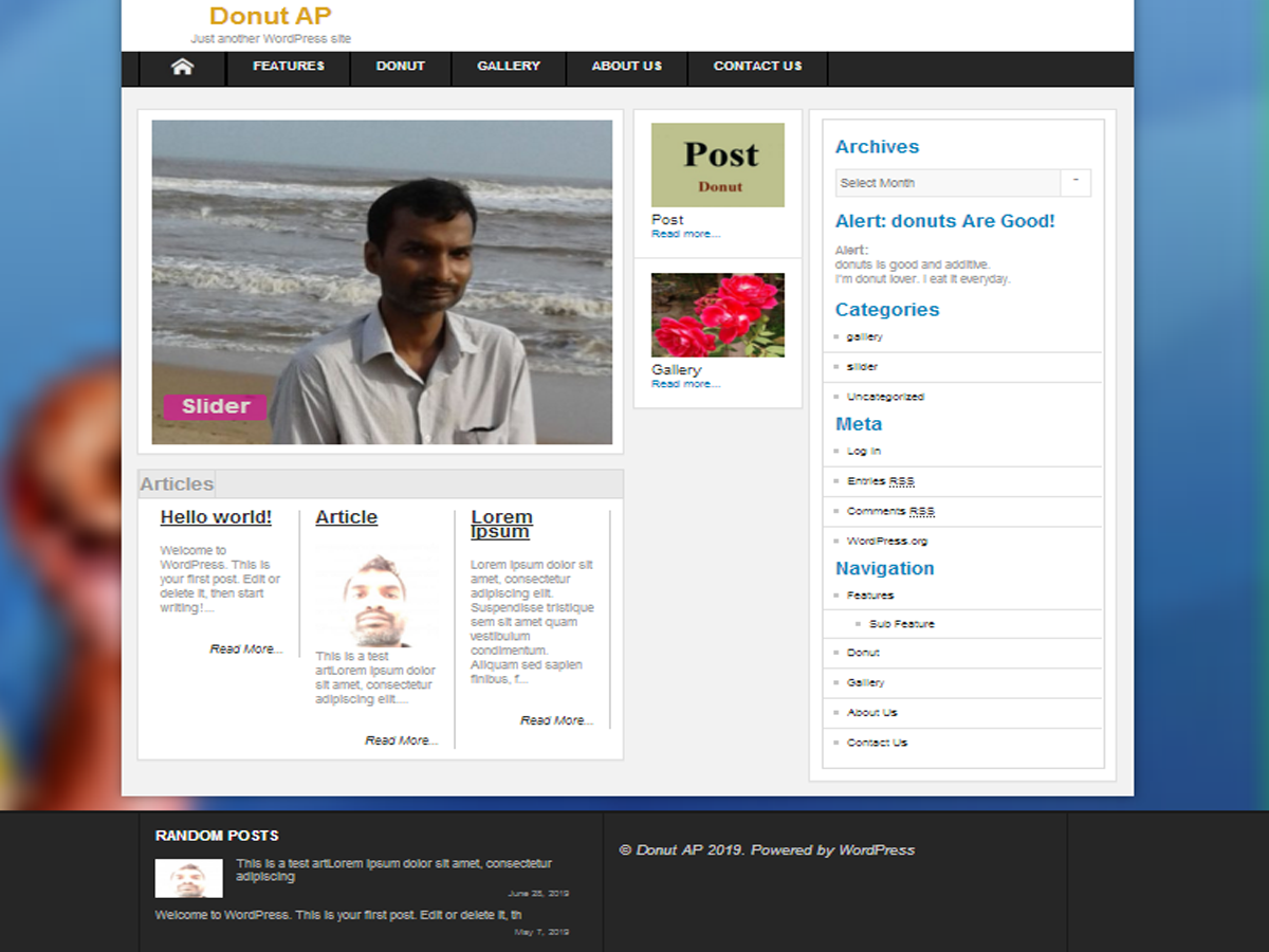 Donut主题汉化包