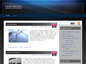 Auroral Theme主题汉化包