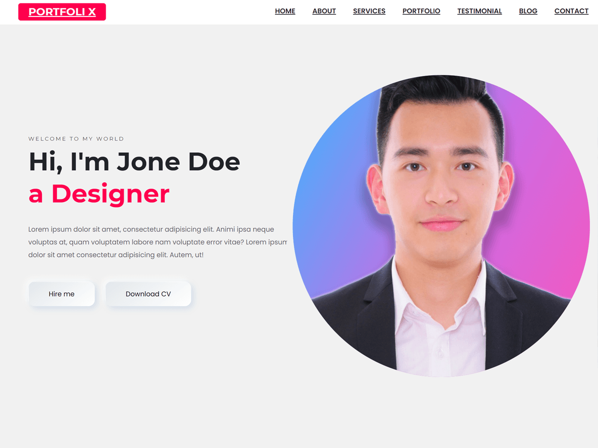 PortfolioX主题汉化包