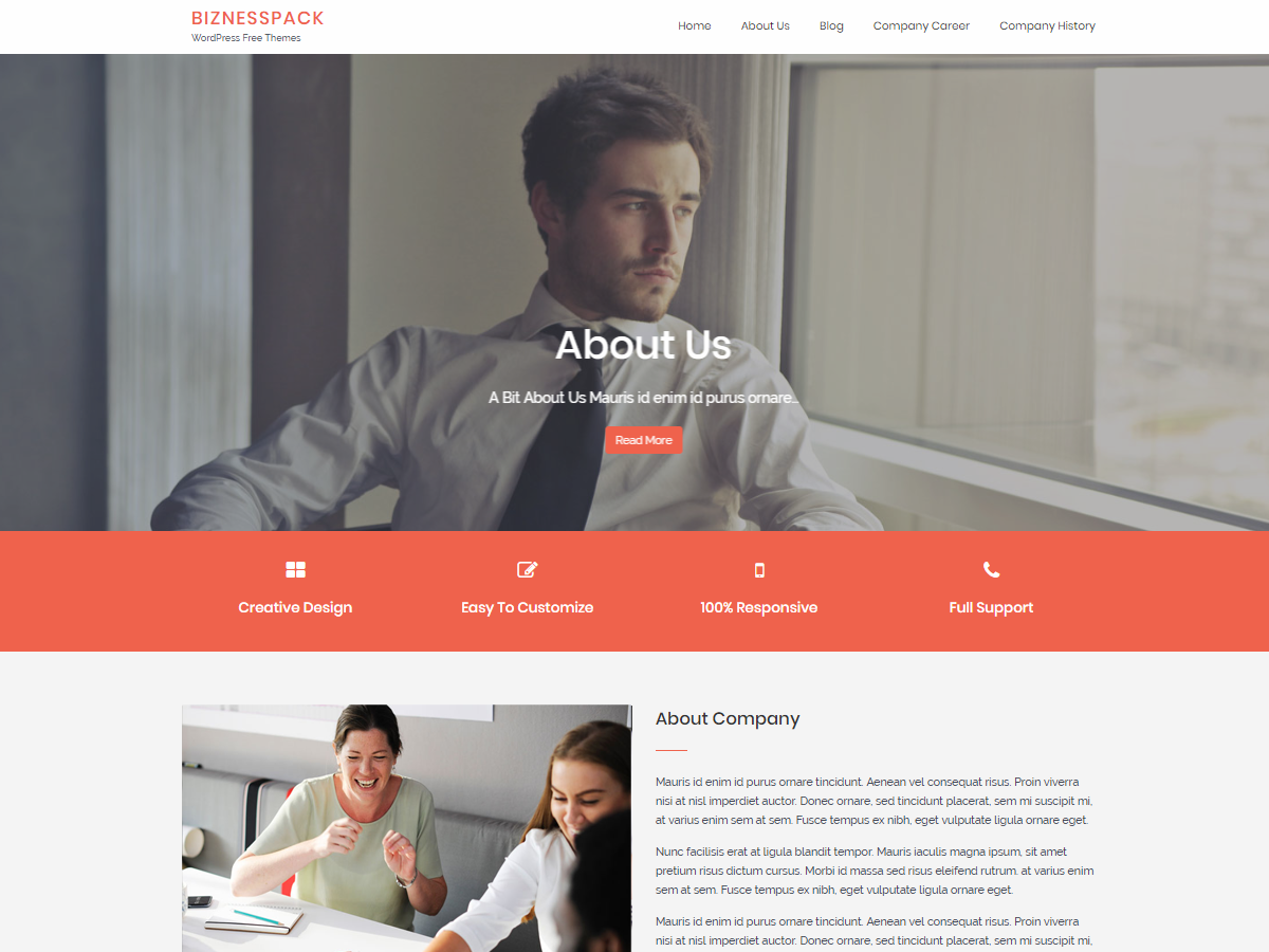 Biznesspack主题汉化包