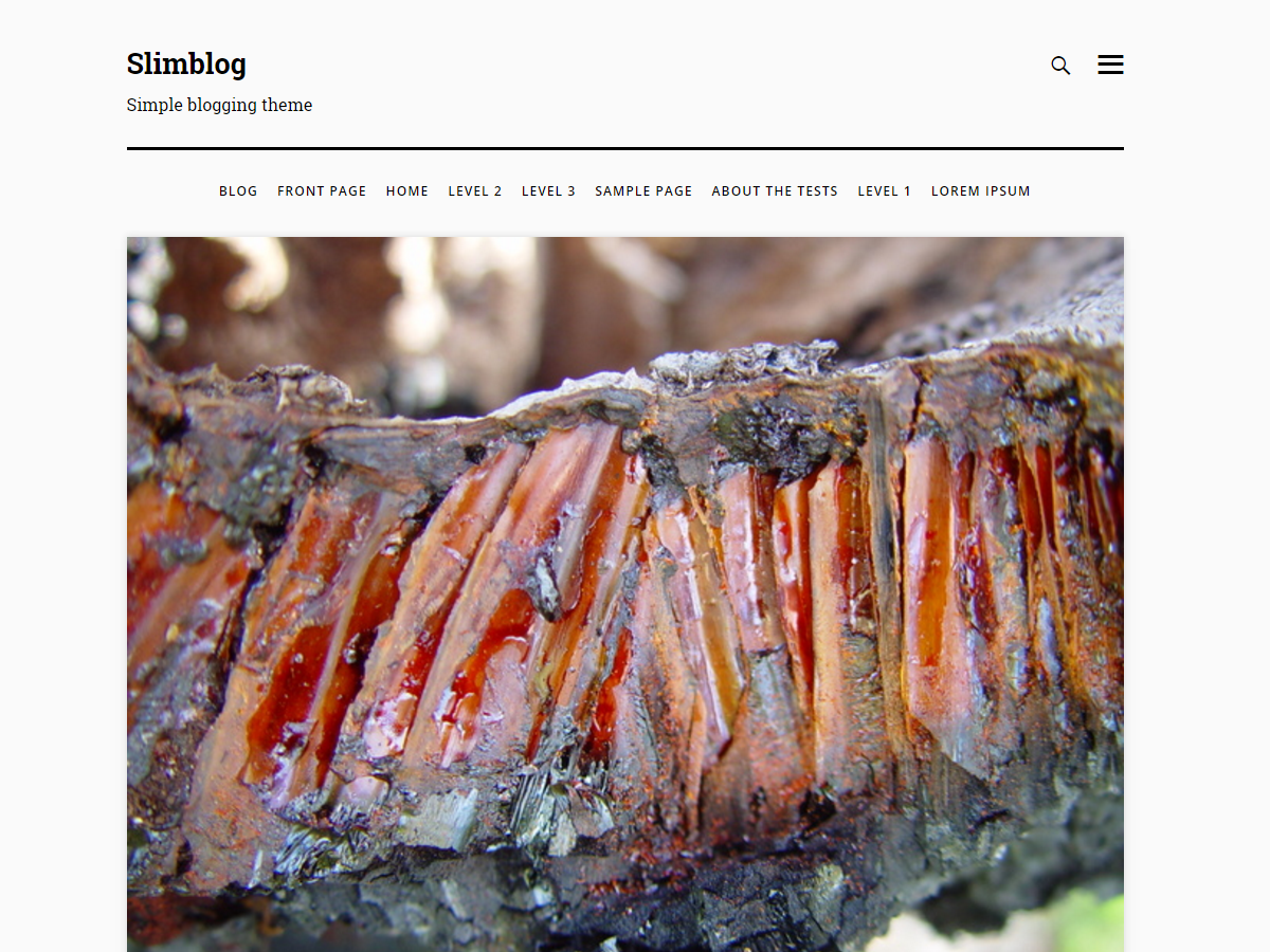 slimblog主题汉化包