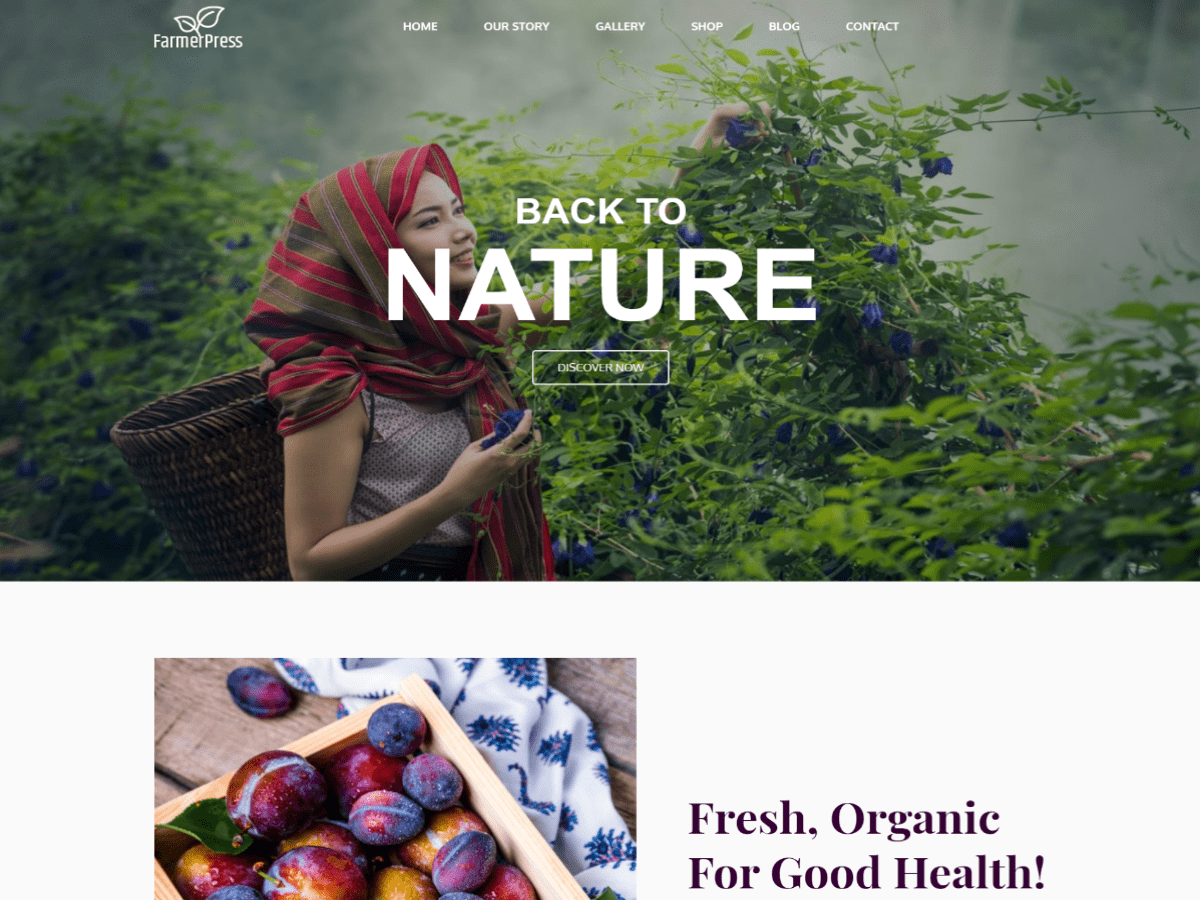 Farmerpress主题汉化包