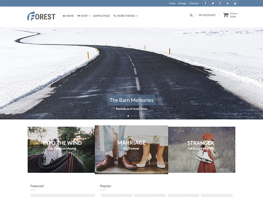 Forest主题汉化包