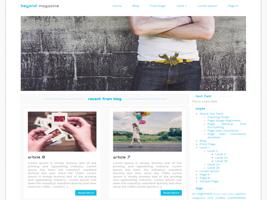 Beyond Magazine主题汉化包