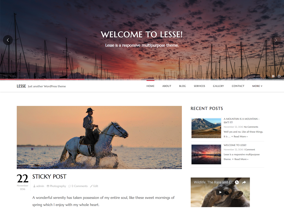 Lesse Lite主题汉化包