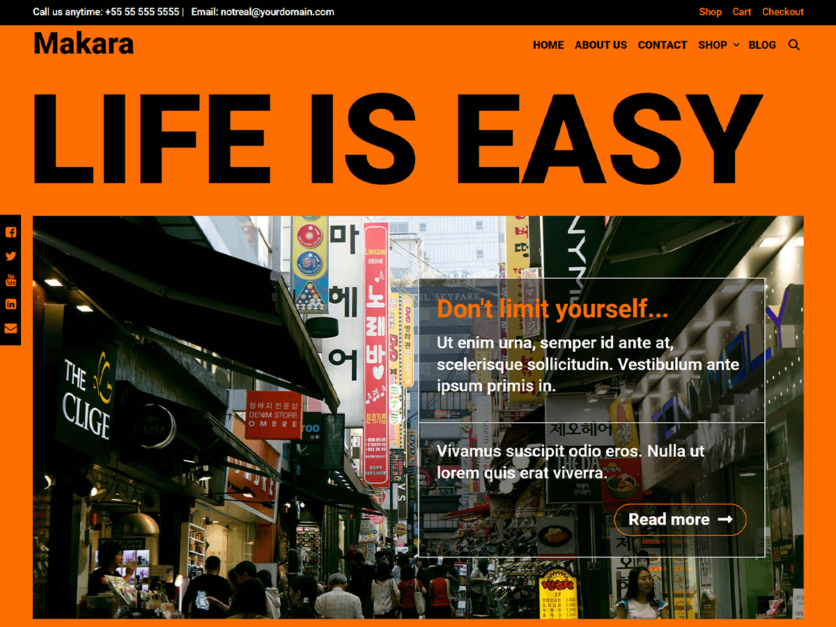 Makara主题汉化包