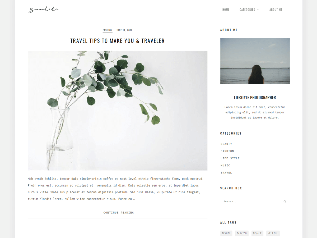 SaraLite主题汉化包