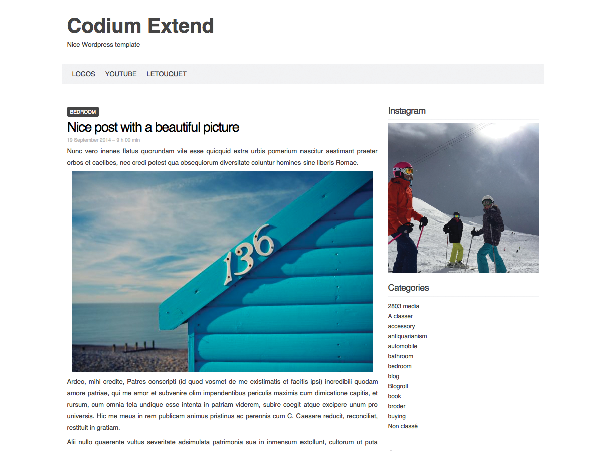 Codium Extend主题汉化包