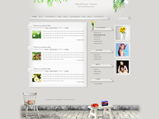 warm-home主题汉化包