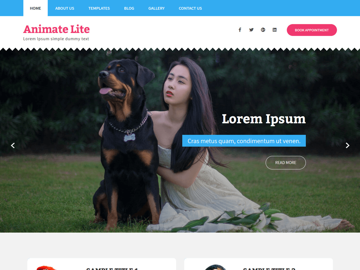 Animate Lite主题汉化包