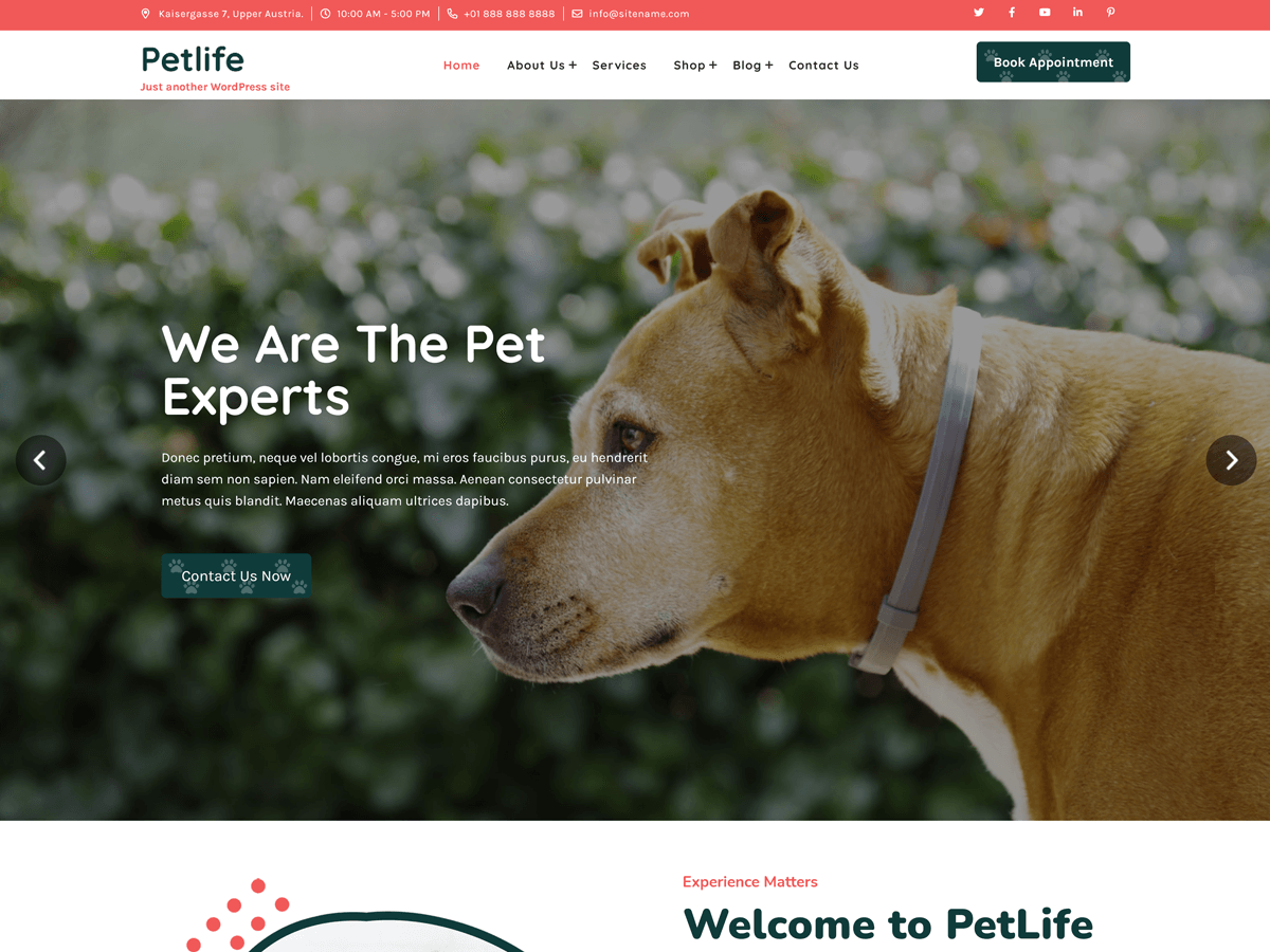 Petlife Lite主题汉化包