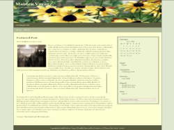 Maiden Voyage主题汉化包