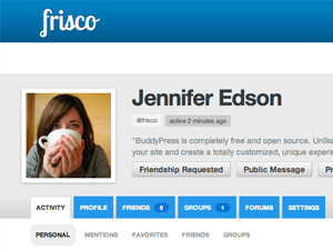 Frisco for BuddyPress主题汉化包