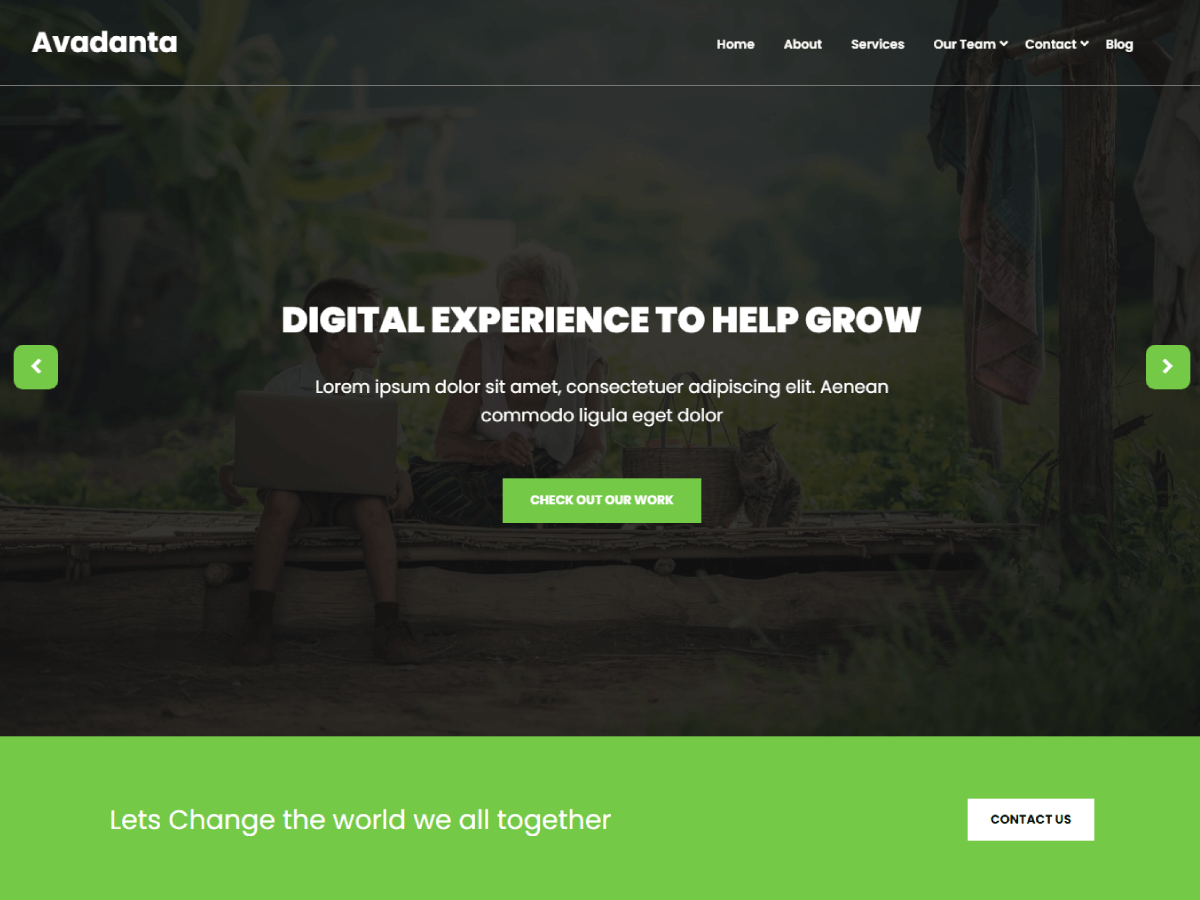 Avadanta Business主题汉化包