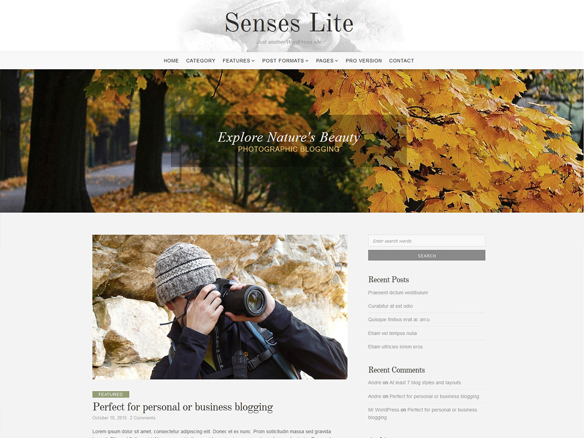 Senses Lite主题汉化包
