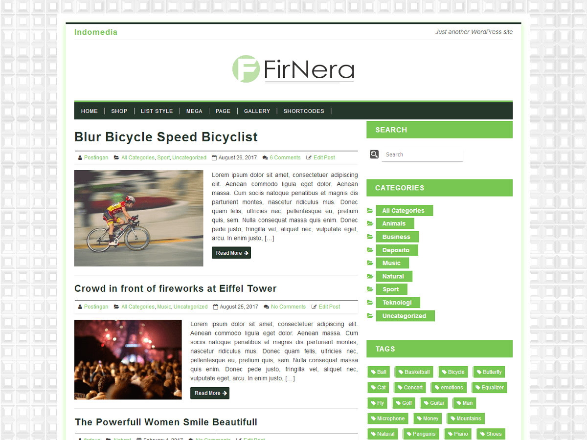 Firnera Lite主题汉化包